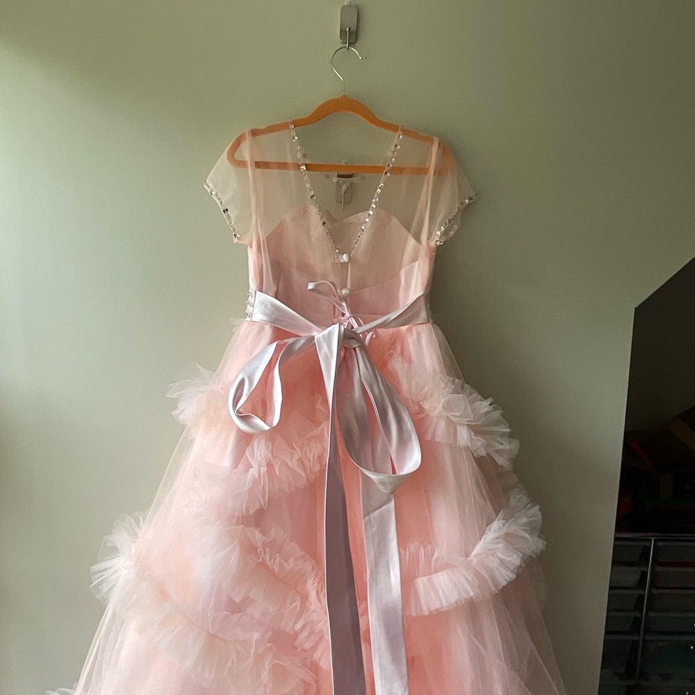 Pink Ruffled Gown with Flutter Sleeves - Picture 8 of 15